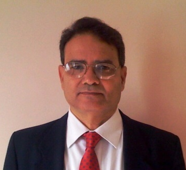Professor Ibrahim Abdel-Motaleb, Principal Consultant